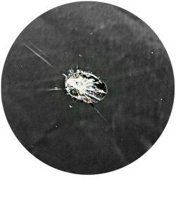 US Auto Glass repair in Grand Junction Colorado